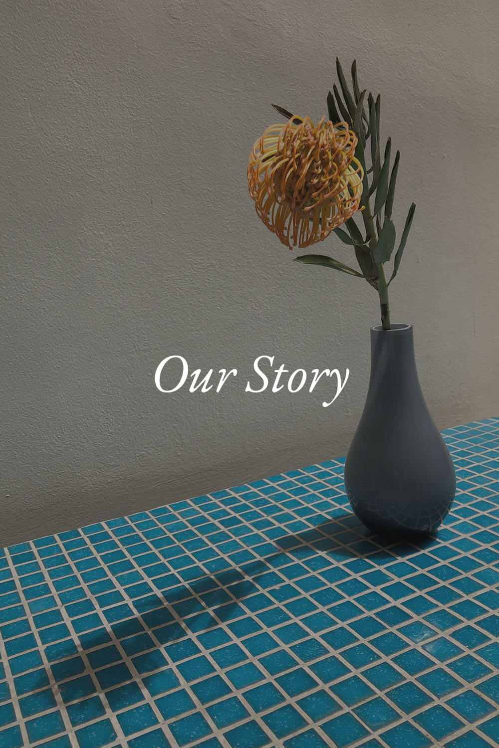 Anika 4 – Our Story – hover