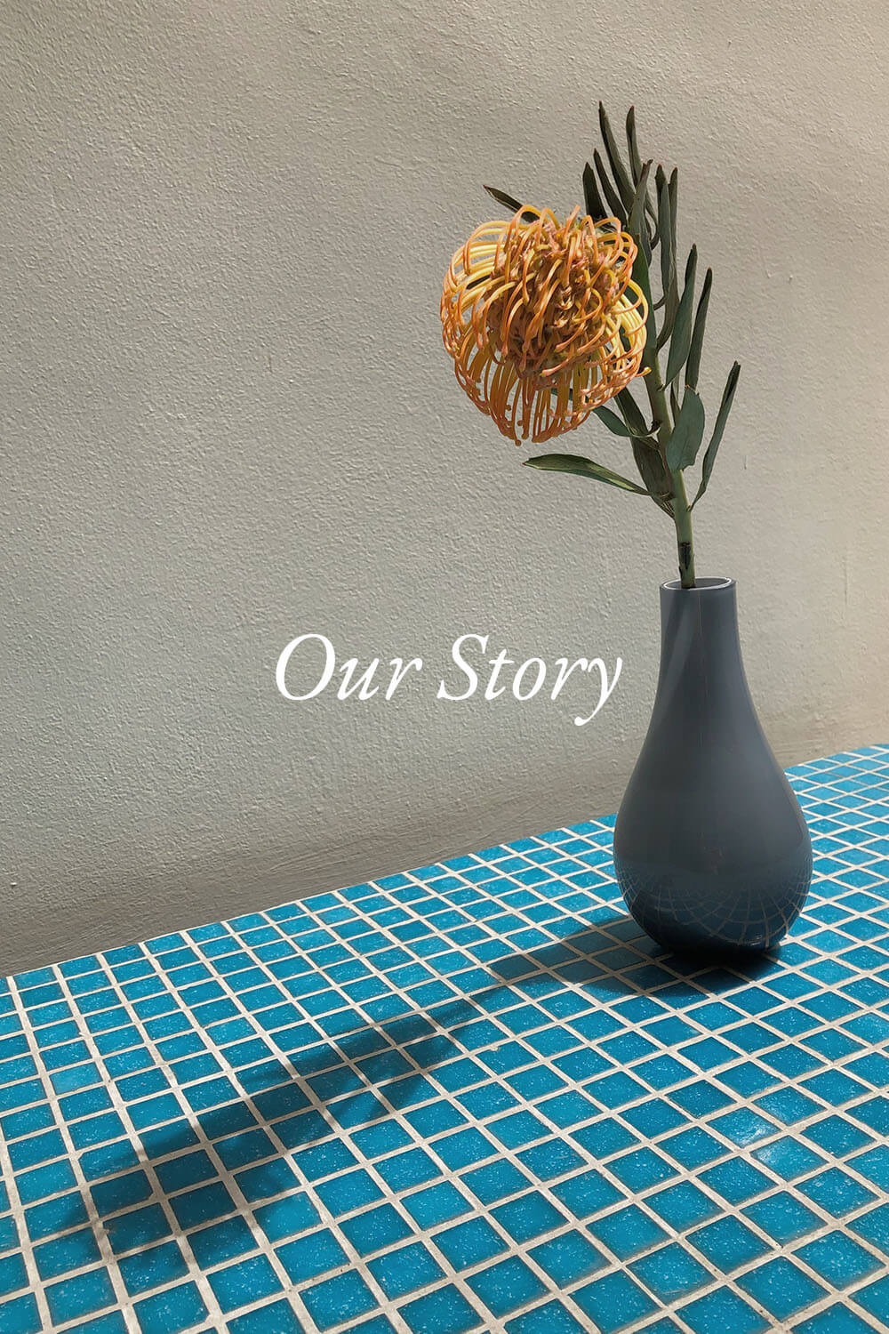 Anika 4 – Our Story