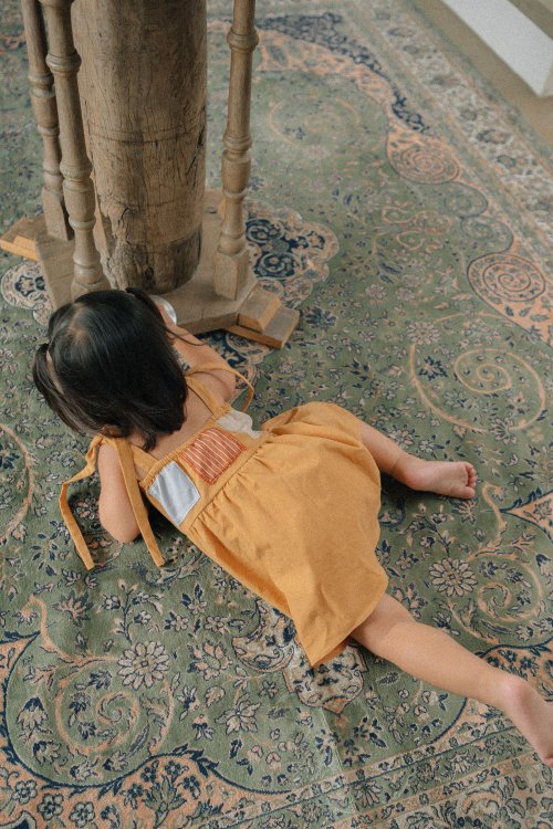 Little Lizzi Dress / Pumpkin Multi