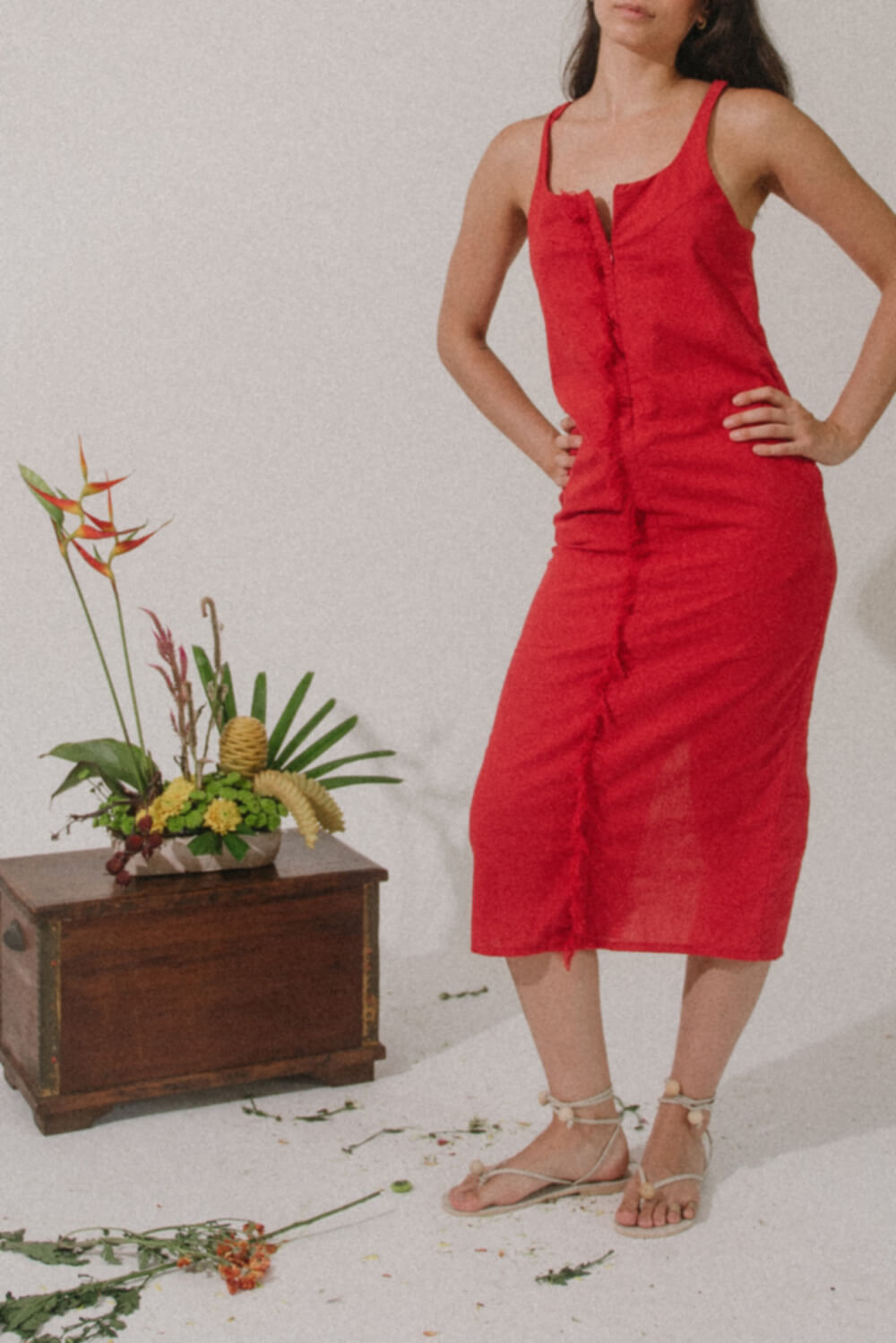 Rosy Midi Dress / Lipstick Red